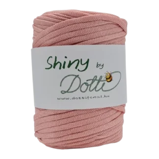 shiny by dotti púder