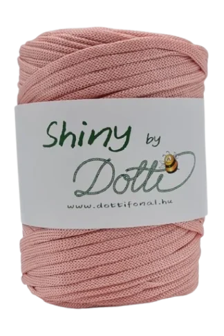 shiny by dotti púder